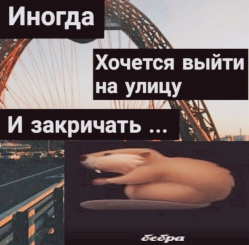 Бебра