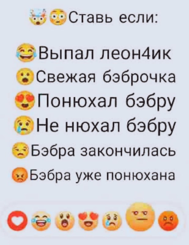 Бебра