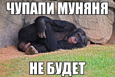 чупапи муняня не будет