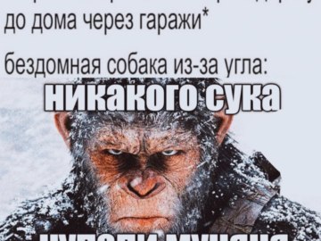 чупапи муняня не будет