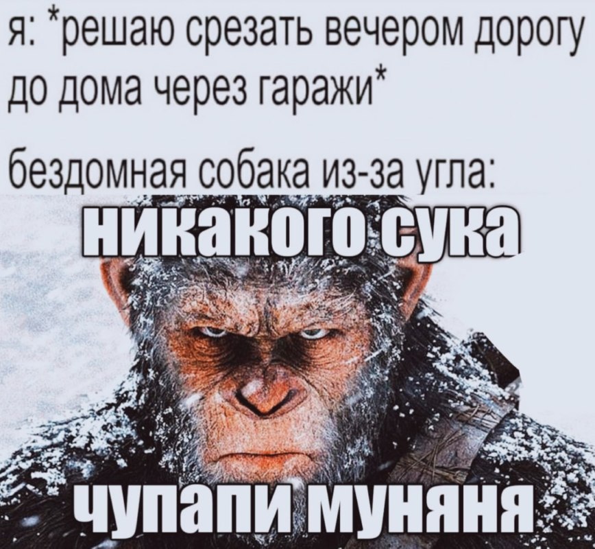 чупапи муняня не будет