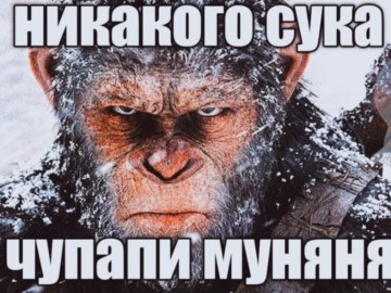 чупапи муняня не будет