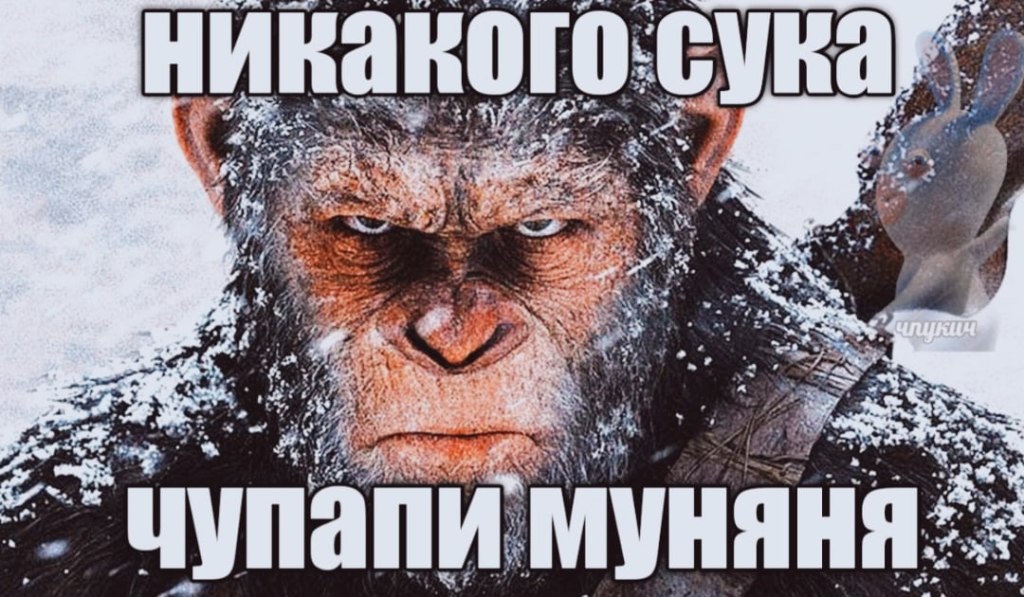 чупапи муняня не будет