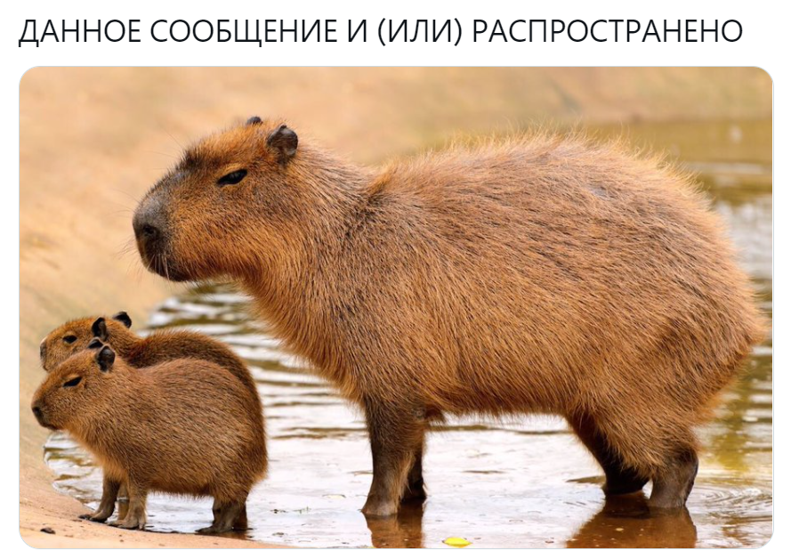 кто такие иноагенты кто такие иноагенты