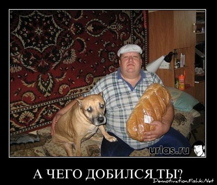 мужик с батоном и собакой мем мужик с батоном и собакой мем