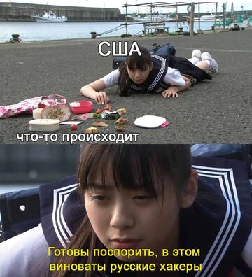 Японская школьница уронила обед