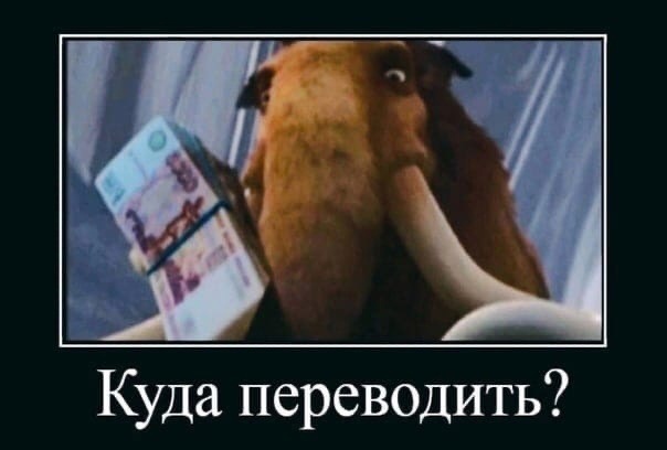 мамонт куда переводить мамонт куда переводить