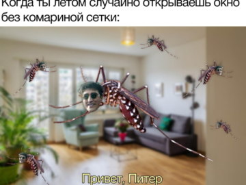Привет, Питер