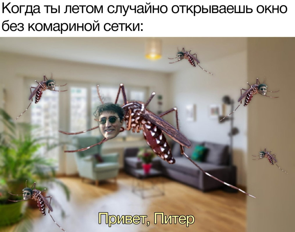 Привет, Питер