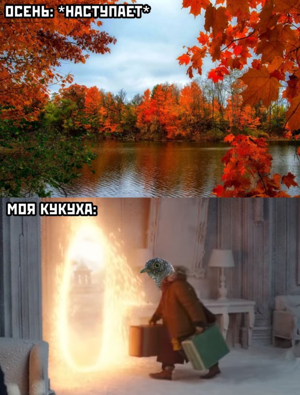 Вонг и портал