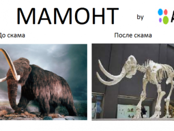 Заскамил мамонта