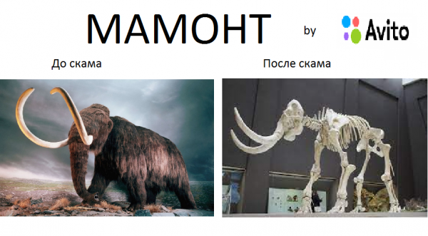 Заскамил мамонта