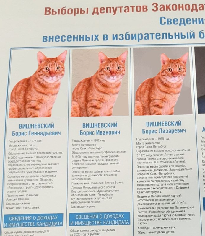 Борис Вишневский мем Борис Вишневский мем