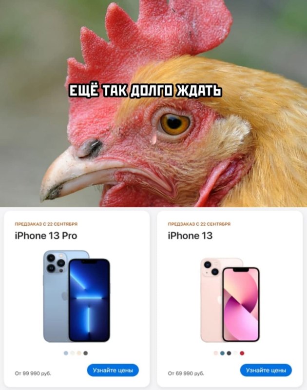 Презентация iPhone 13