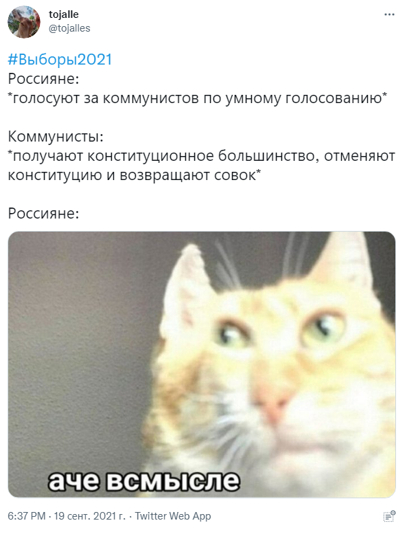что такое умг выборы