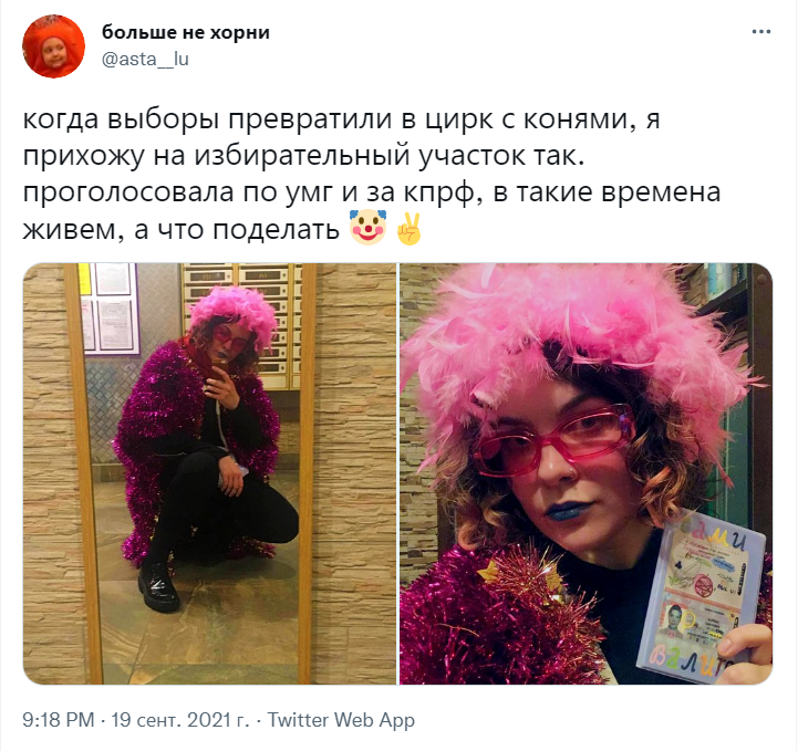 что такое умг выборы