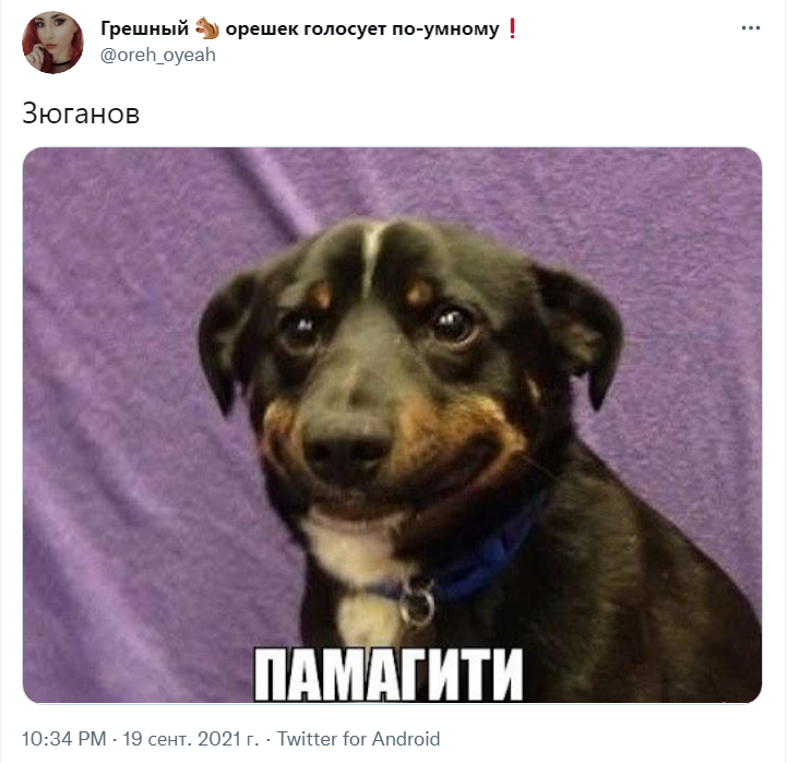 мемы про выборы в госдуму 2021