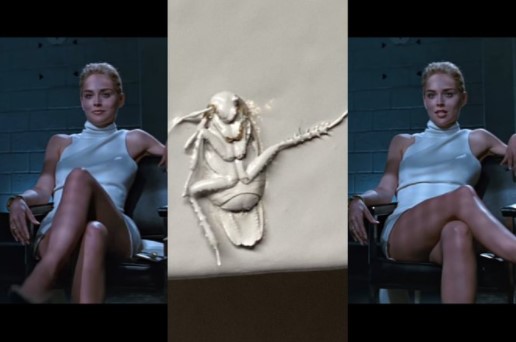 painted roach meme painted roach meme
