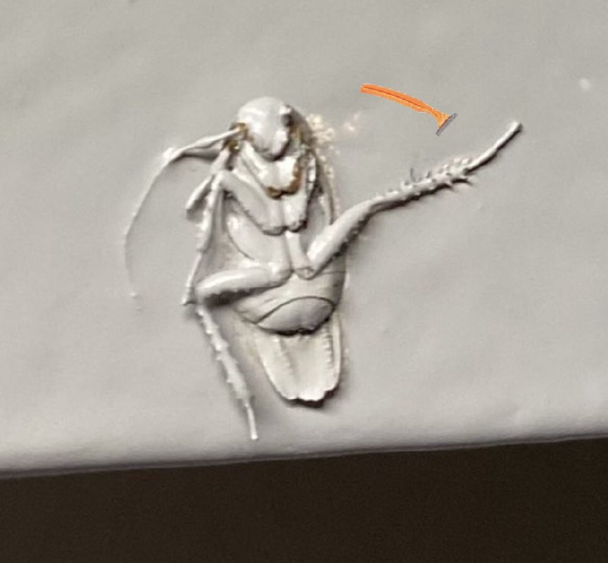 dancing roach meme dancing roach meme