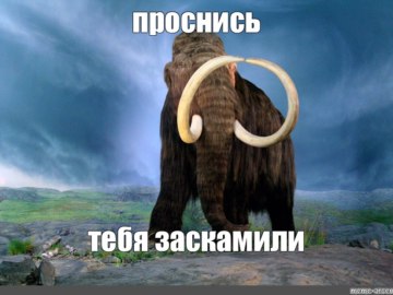 Заскамил мамонта