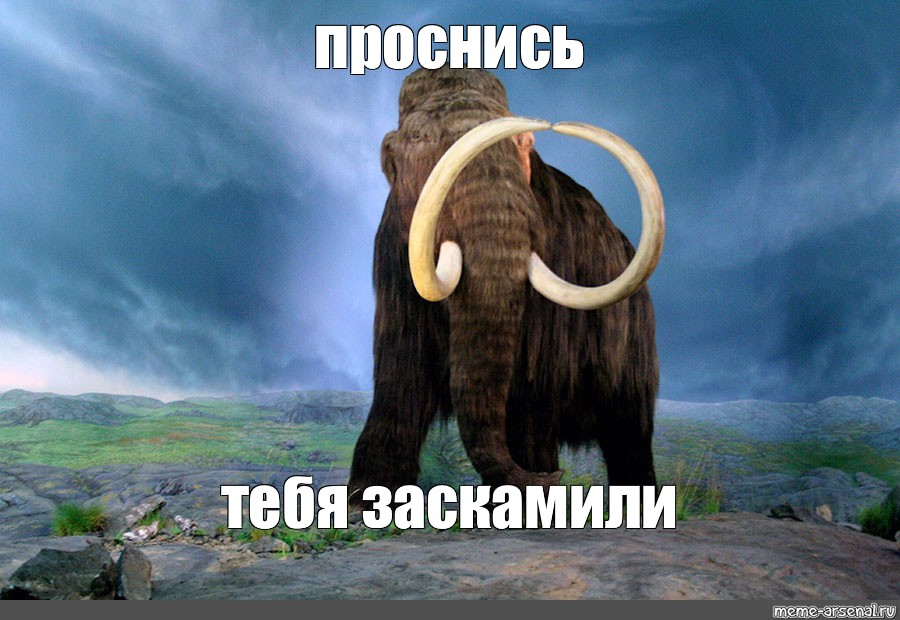 Заскамил мамонта