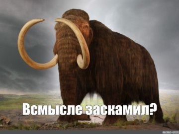 Заскамил мамонта
