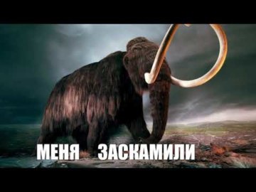 Заскамил мамонта