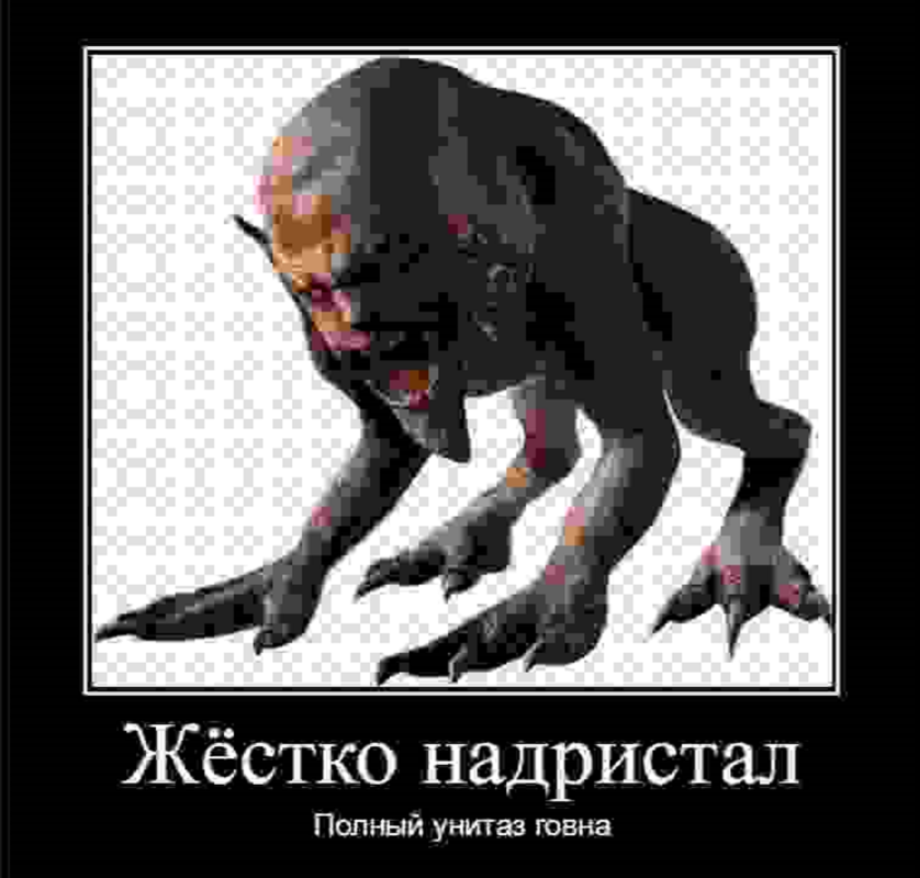 Жестко надристал