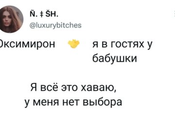 Я все это хаваю