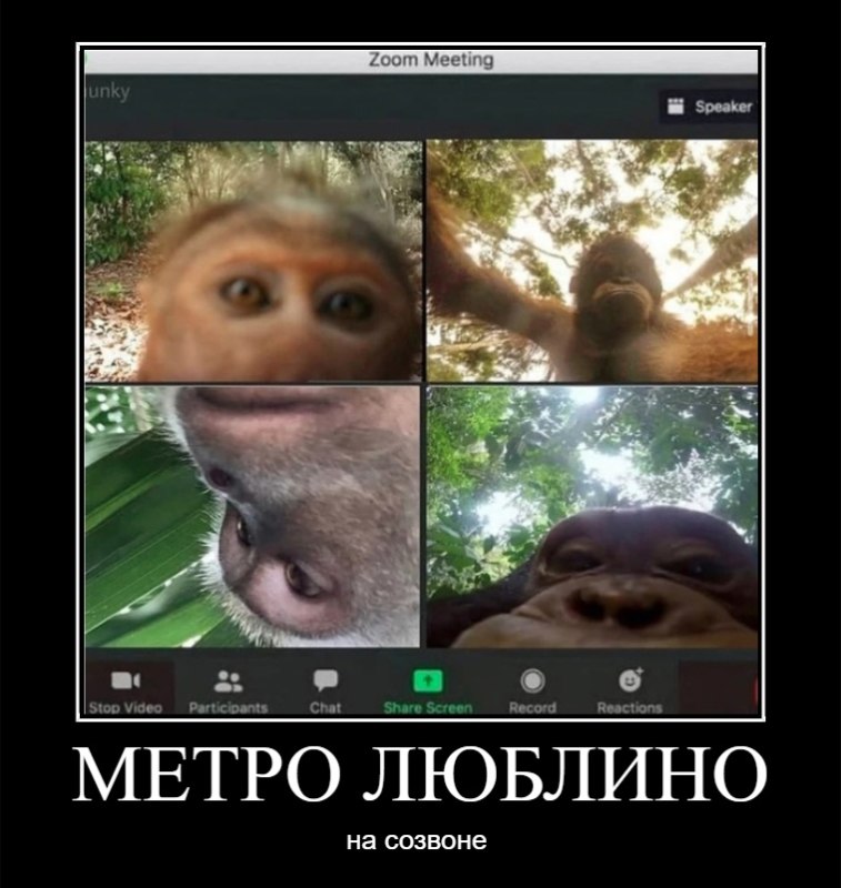 метро люблино мем