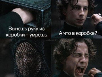 Что в коробке?