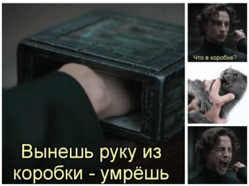 Что в коробке?