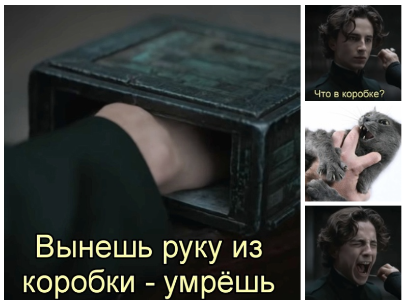 Что в коробке?