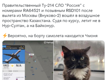 Кот сидит на панели автомобиля - мем Чмоня