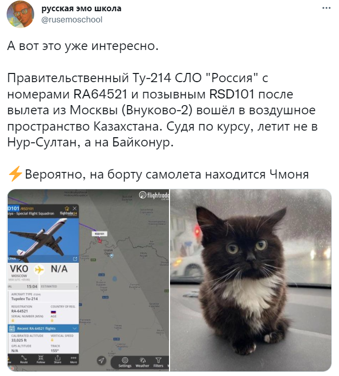 Кот сидит на панели автомобиля - мем Чмоня