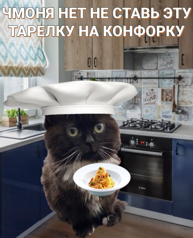 Кот сидит на панели автомобиля - мем Чмоня