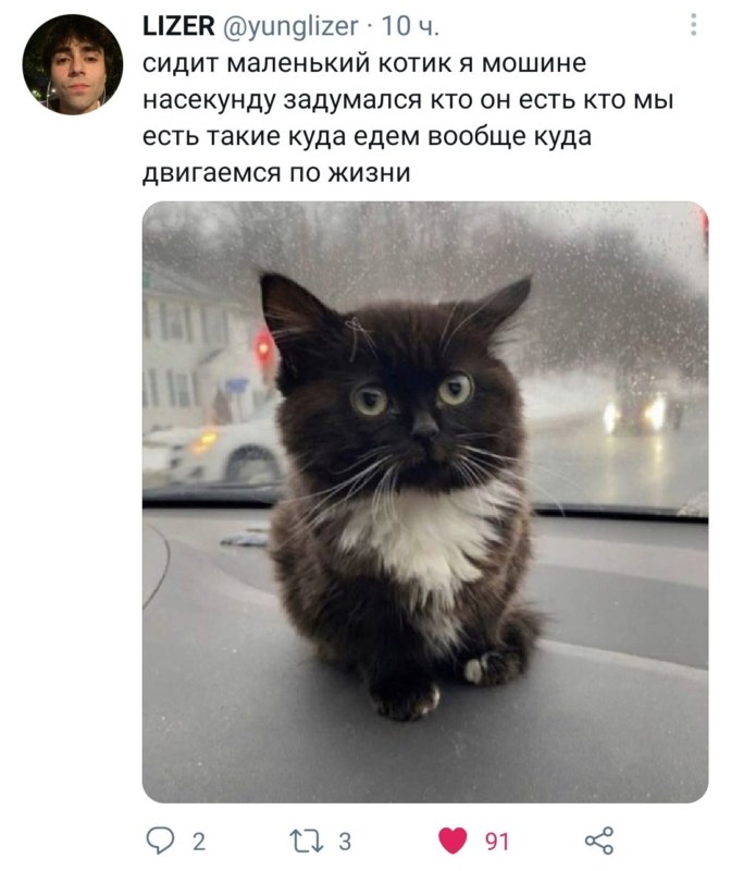 Чмоня