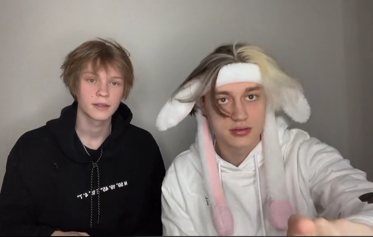 Дипинс