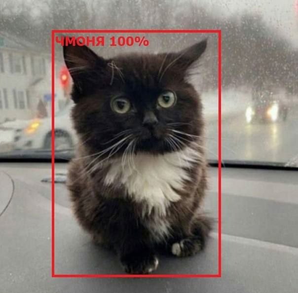 маленький русский кот мем маленький русский кот мем