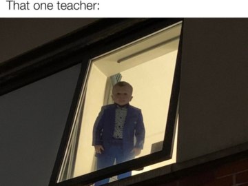 Хасбик в окне
