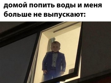 Хасбик в окне