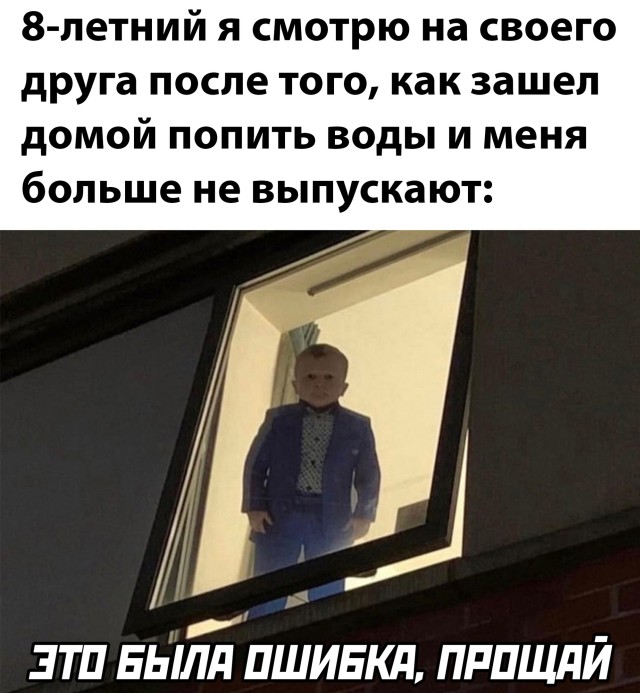 Хасбик в окне
