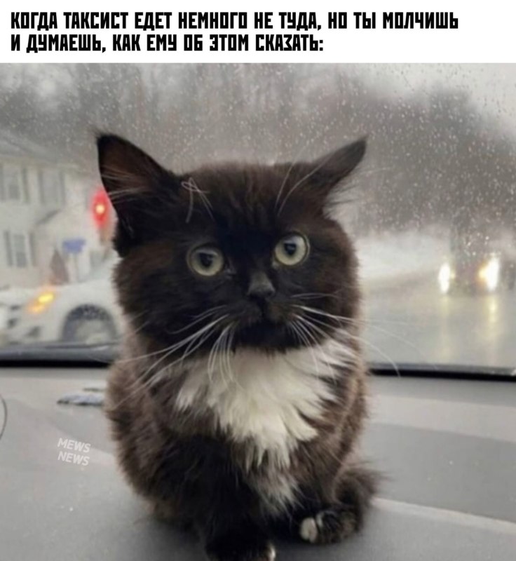 чмоня чмоня