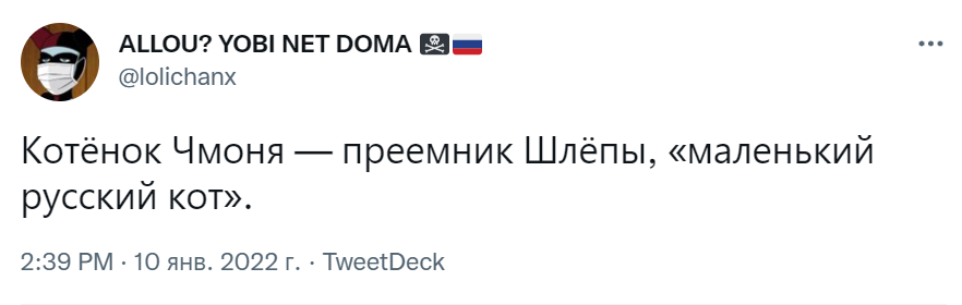 маленький русский кот чмоня маленький русский кот чмоня