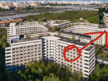 Кот Носок