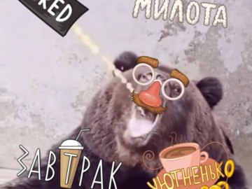 Медведь пьет Фанту