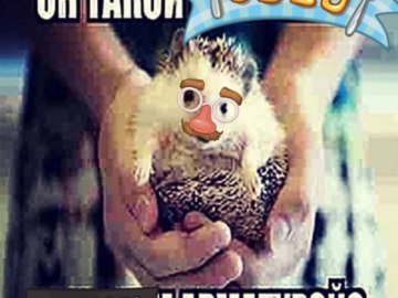 Обед уютненько