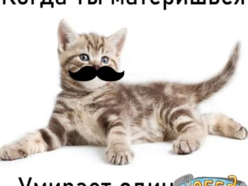 Обед уютненько