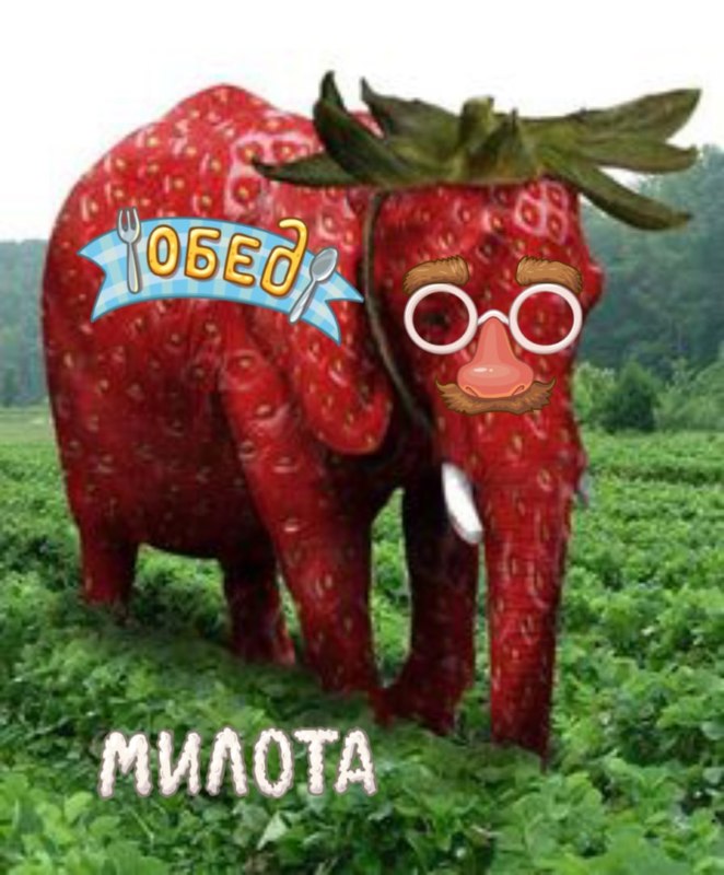 Обед уютненько