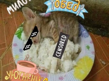 Обед уютненько